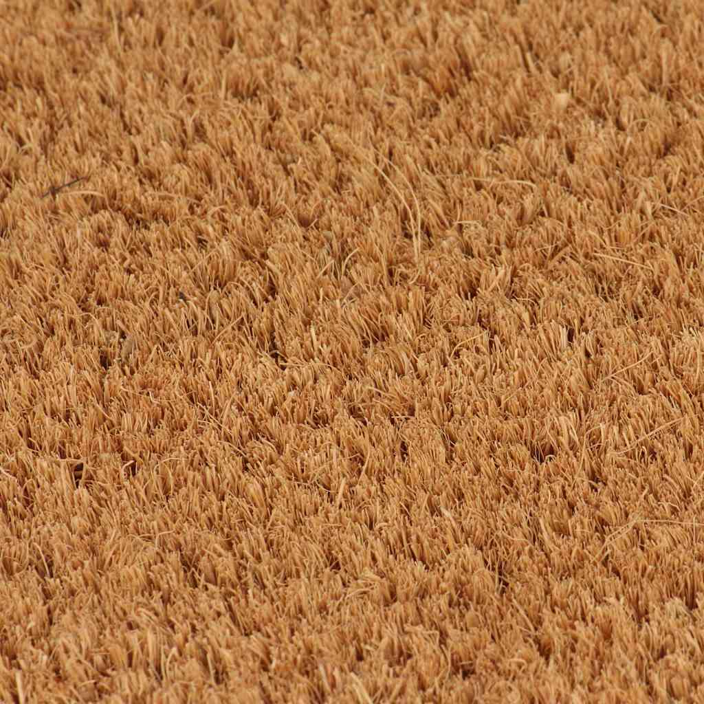 vidaXL Deurmatten 24 mm 40x60 cm kokosvezel natuurlijk 2 st