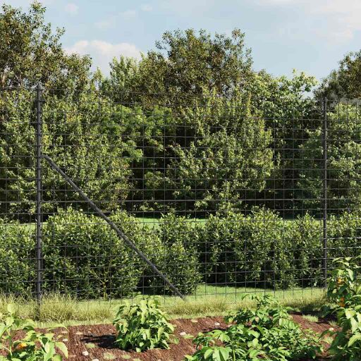 vidaXL Flanged Wire Mesh Fence 0.8x10 m Green