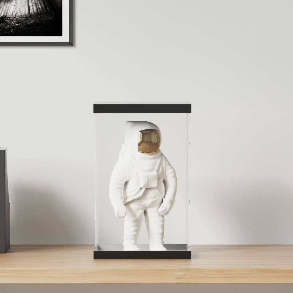 vidaXL Display case transparent 14x14x22 cm acrylic