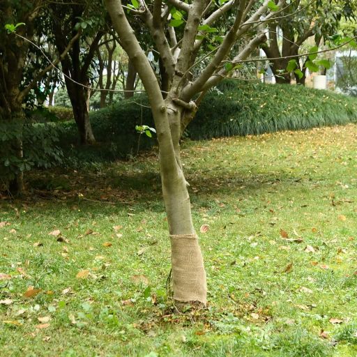 vidaXL Jute roll 200 g/m² 0.25x5 m 100% jute