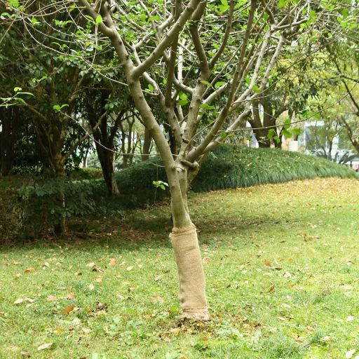 vidaXL Jute roll 200 g/m² 0.25x5 m 100% jute