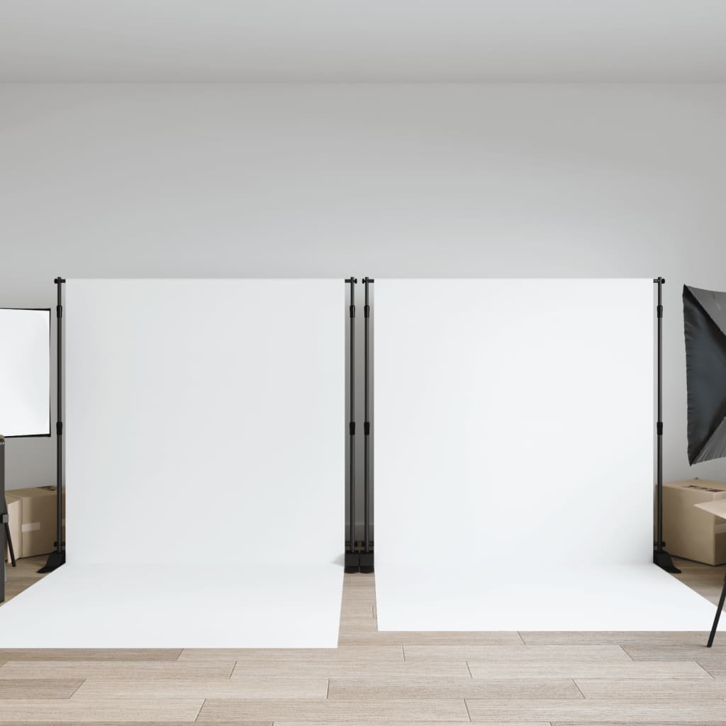 vidaXL Background Stand 254x243 cm Steel Black