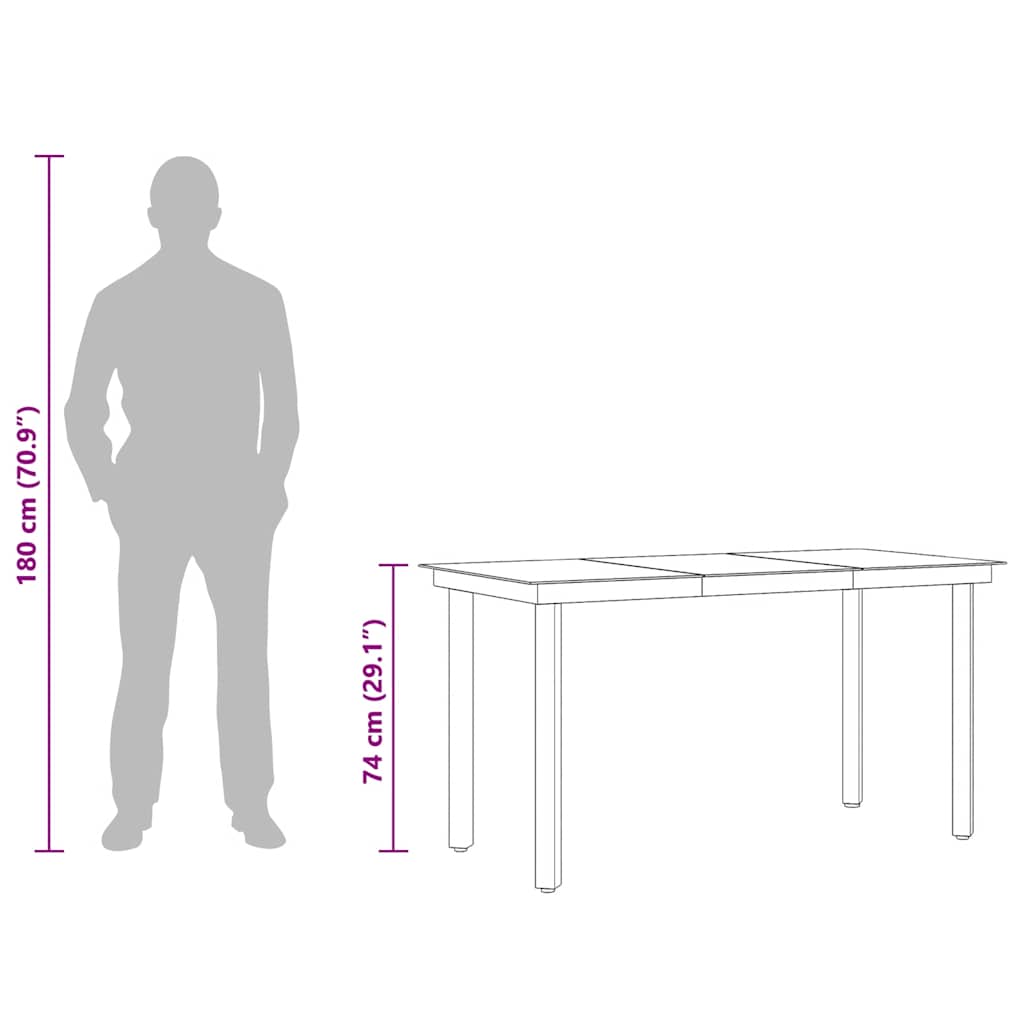 vidaXL Garden Table 200x100x74 cm Steel and Glass Black