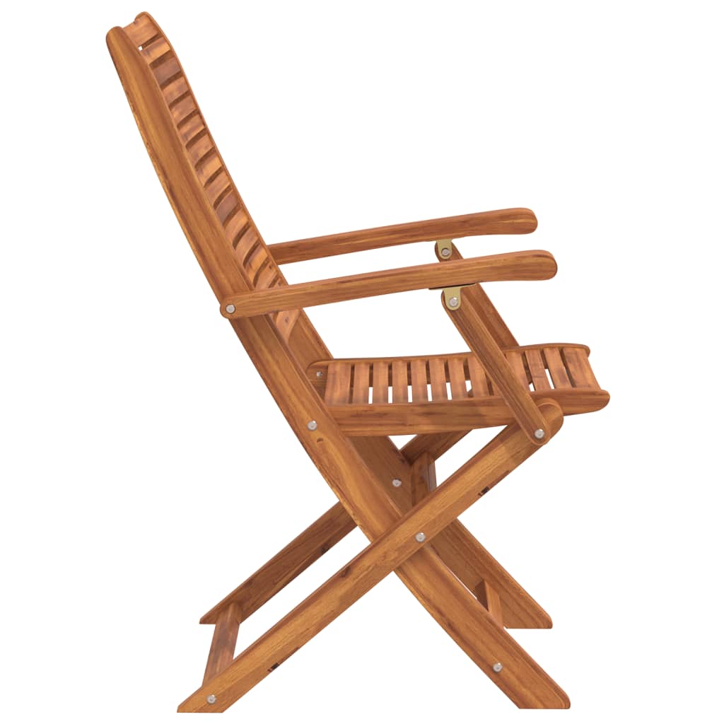 vidaXL Tuinstoelen inklapbaar 2 st massief acaciahout