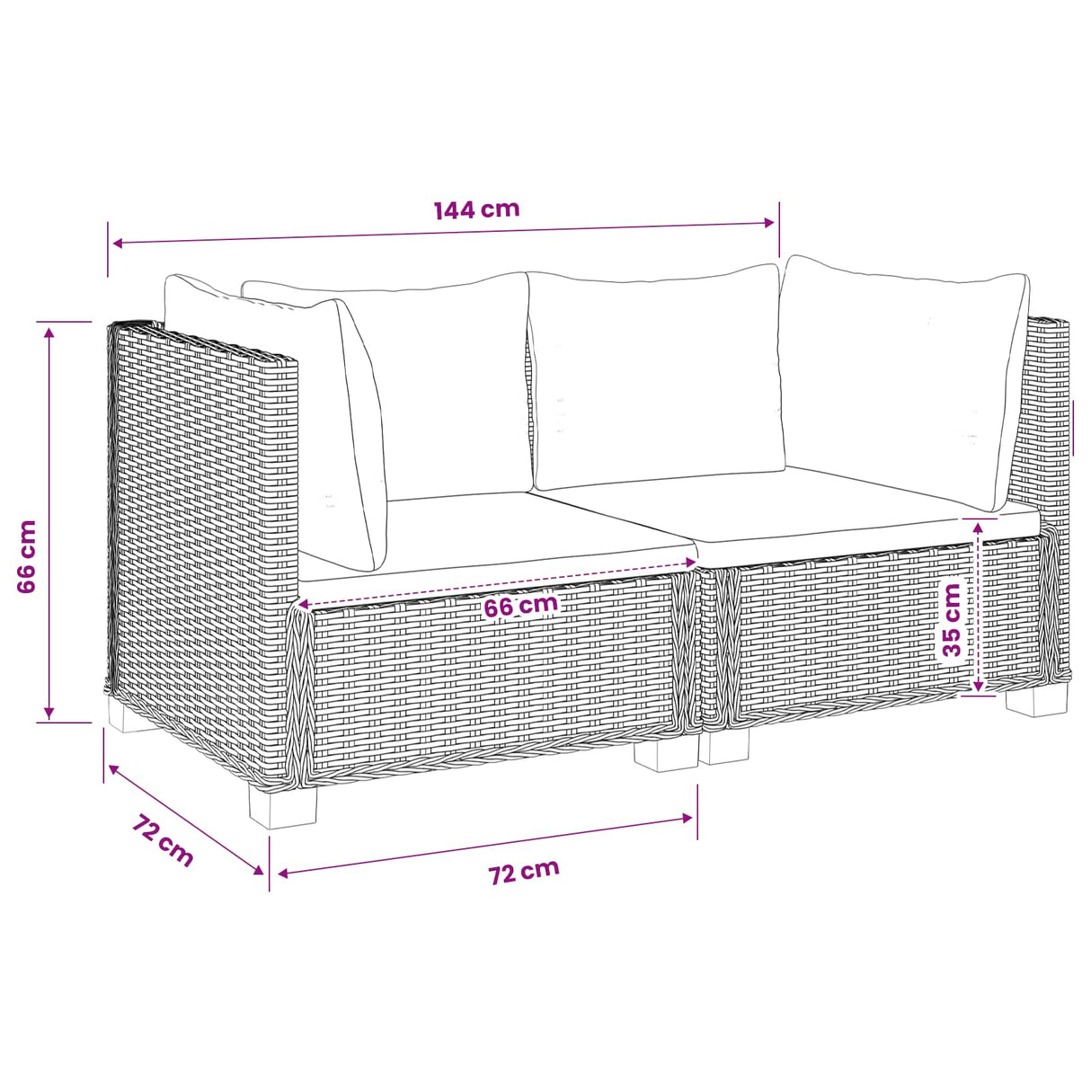 vidaXL 2 st Rieten Loungeset met Kussens GENDT Natuurlijk Riet Naturel