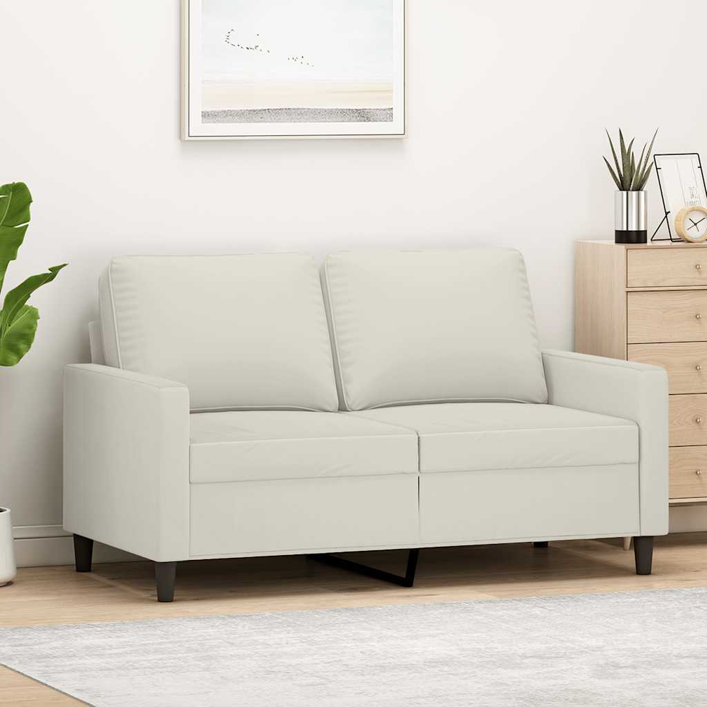 vidaXL Armchair 60 cm velvet light grey