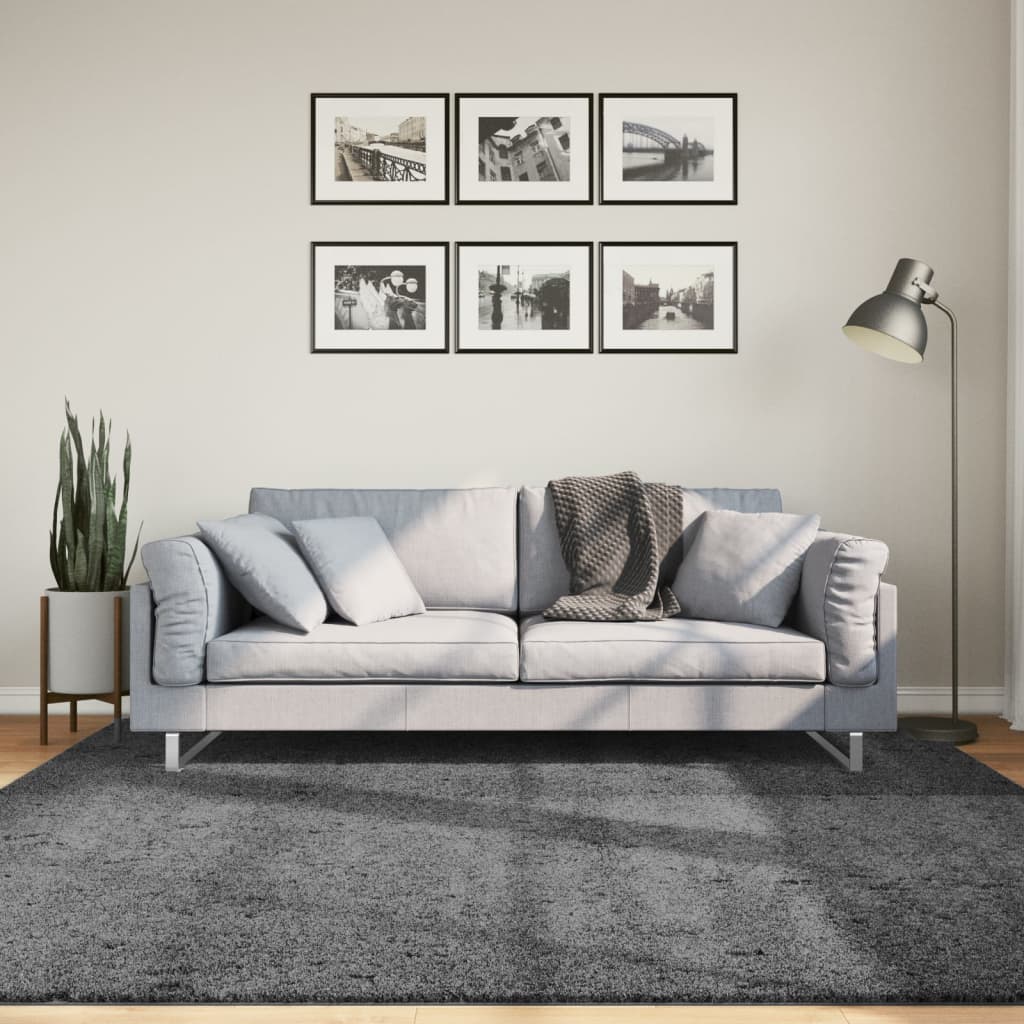 vidaXL Vloerkleed OVIEDO laagpolig 60x110 cm antracietkleurig