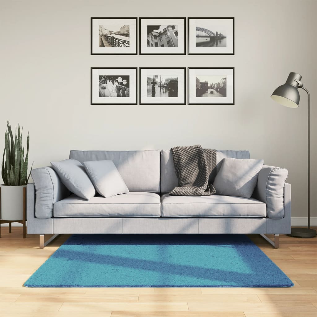 vidaXL Vloerkleed OVIEDO laagpolig 60x110 cm antracietkleurig