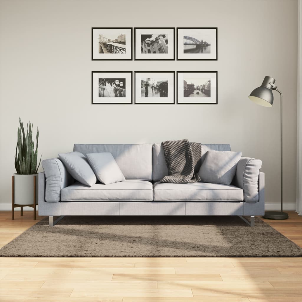 vidaXL Vloerkleed ISTAN hoogpolig glanzend 80x150 cm antracietkleurig
