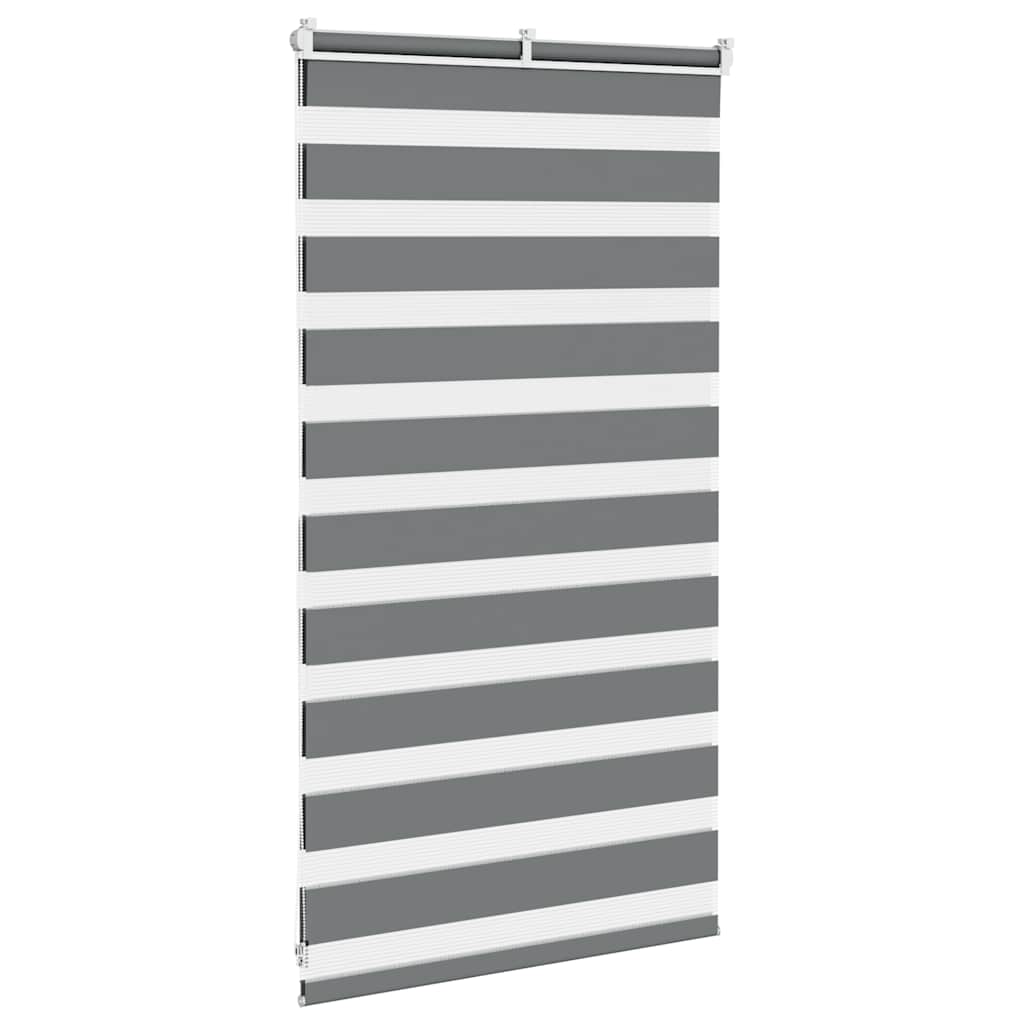 vidaXL Zebra rolgordijn 40x100 cm stofbreedte 35,9 cm donkergrijs