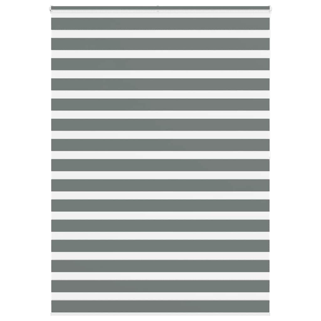 vidaXL Zebra rolgordijn 40x100 cm stofbreedte 35,9 cm donkergrijs