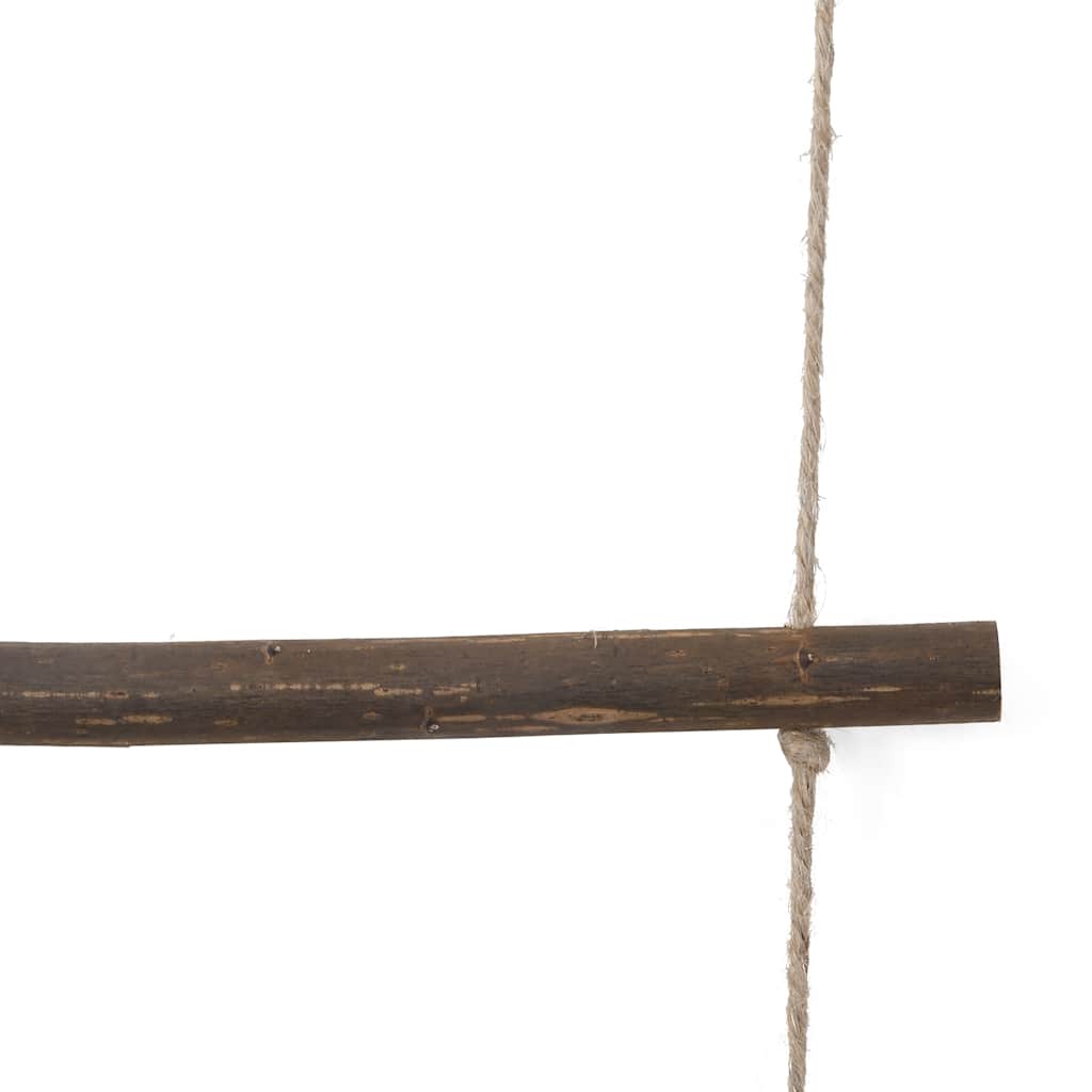vidaXL Wall Decorations Ladder-shaped 2 pcs 30x100 cm Natural Teak