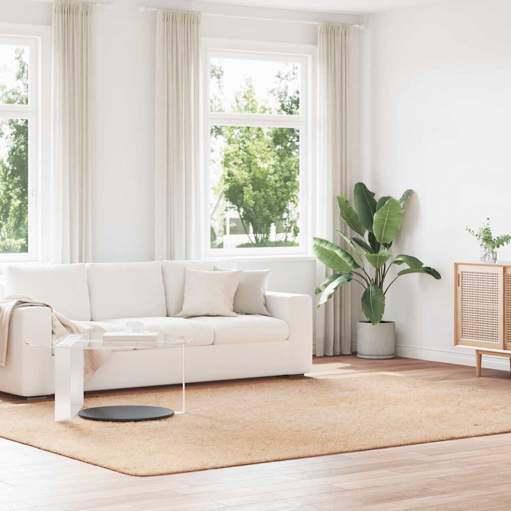 vidaXL Hoogpolig vloerkleed NAVARRA 60x100 cm polyester beige