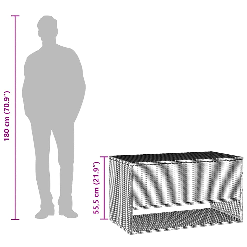 vidaXL Opbergbox voor buiten 100x55x55,5 cm poly rattan zwart