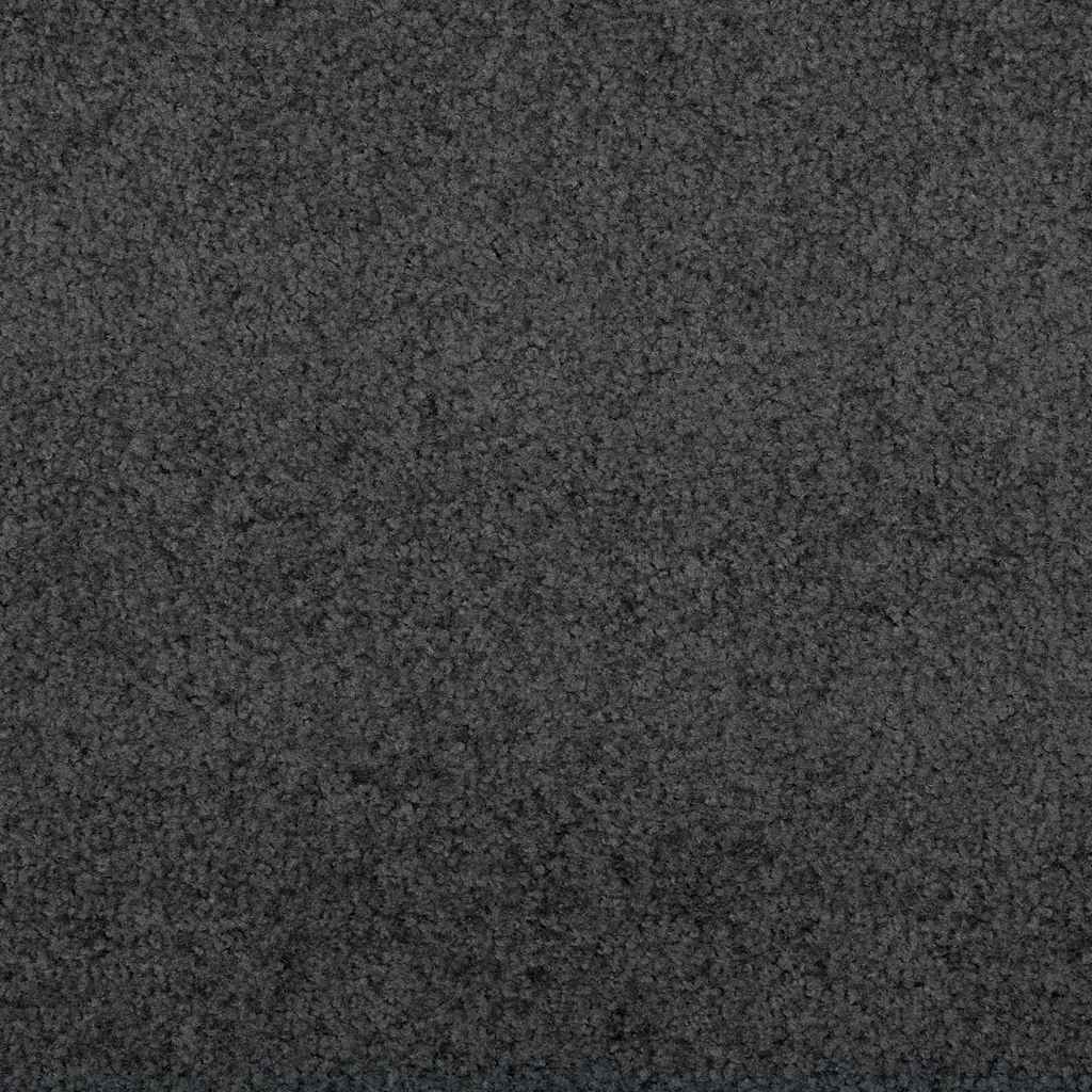 vidaXL Deurmat Antraciet 60 x 40 x 1.2 cm Teddy Stof