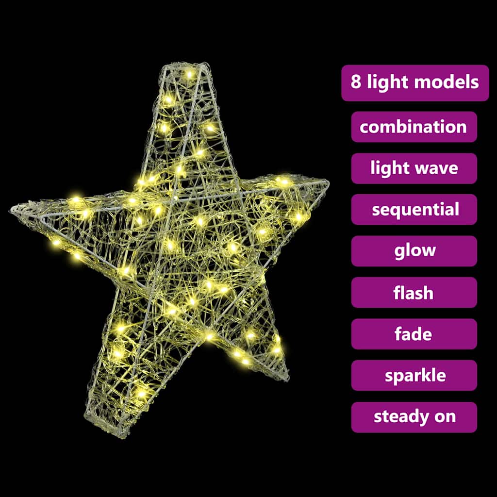 vidaXL 3D Ster met 50 LED Warmwit 55 x 53,5 x 10 cm Acryl