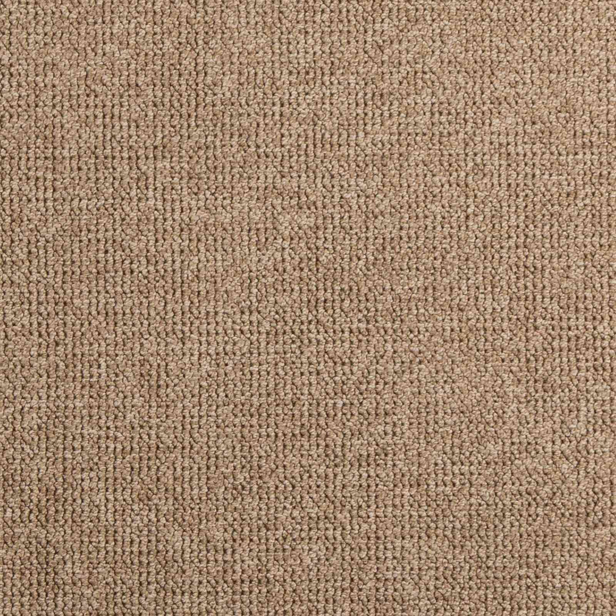 vidaXL Vloerkleden Rechthoekig AGIRA Naturel 150 x 80 cm Polyester