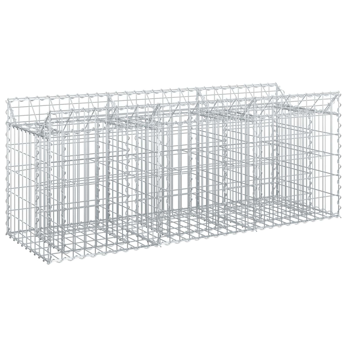 vidaXL Gabion verhoogd bed 2 pcs Zilver 300 x 50 x 60 cm