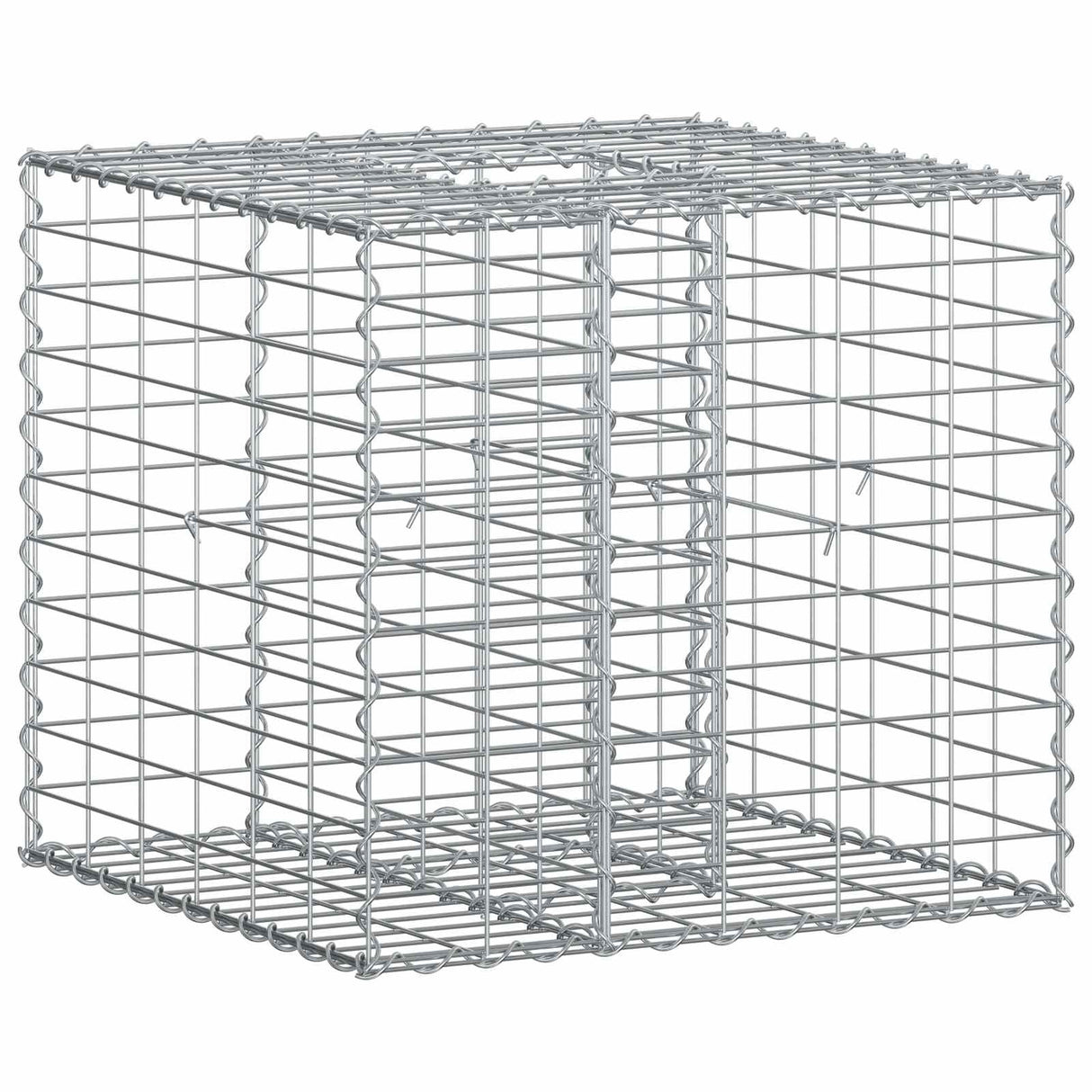 vidaXL Gabion verhoogd bed 2 pcs Zilver 260 x 60 x 55 cm
