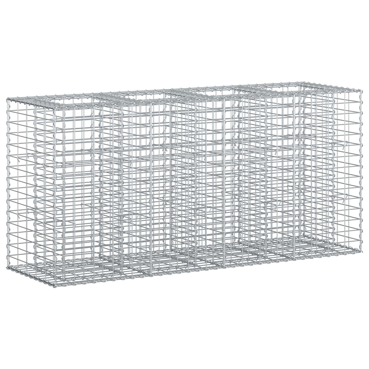 vidaXL Gabion verhoogd bed 2 pcs Zilver 260 x 60 x 55 cm