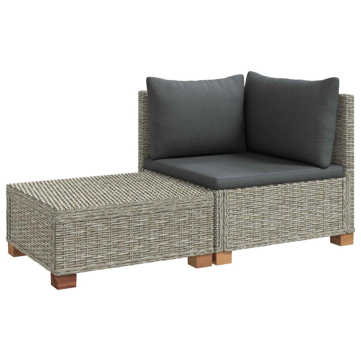 vidaXL 2 st Rieten Loungeset met Kussens GENDT Natuurlijk Riet Naturel