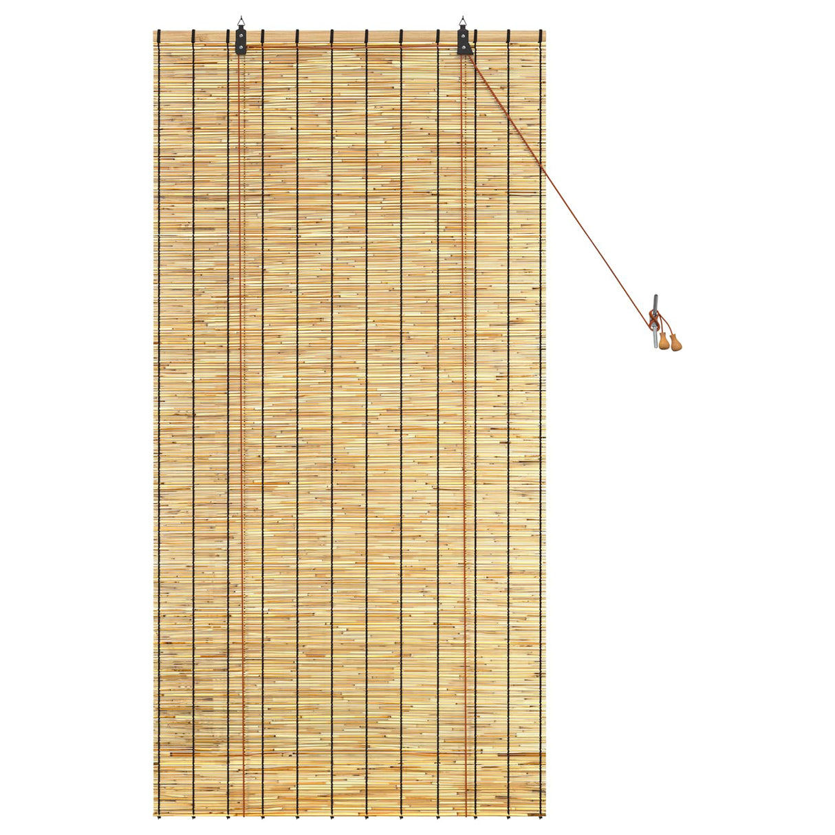 vidaXL Rolgordijn Naturel 60 x 160 cm Riet