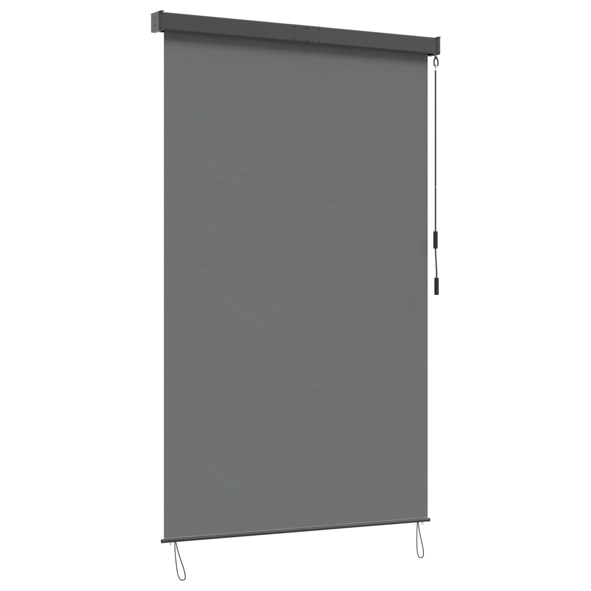 vidaXL Rolgordijn voor buiten 60x250 cm blauw en wit