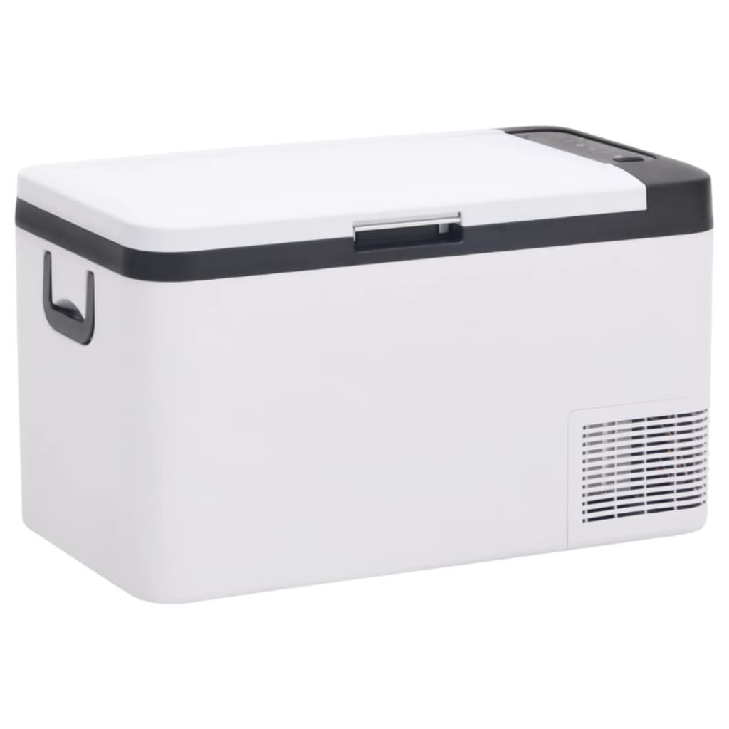 vidaXL Koelbox met handvat en adapter 18 L PP & PE zwart en wit