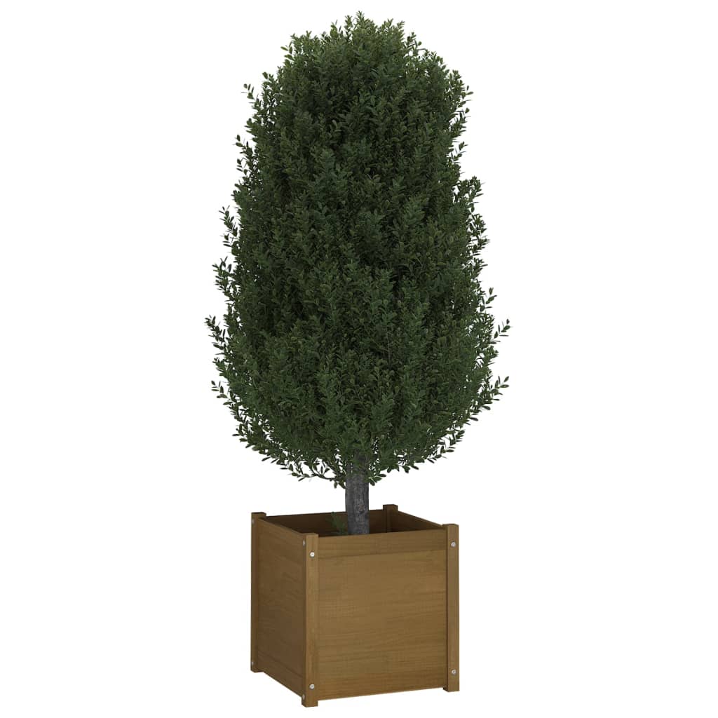 vidaXL Planters 2 pcs 50x50x50 cm solid pine wood