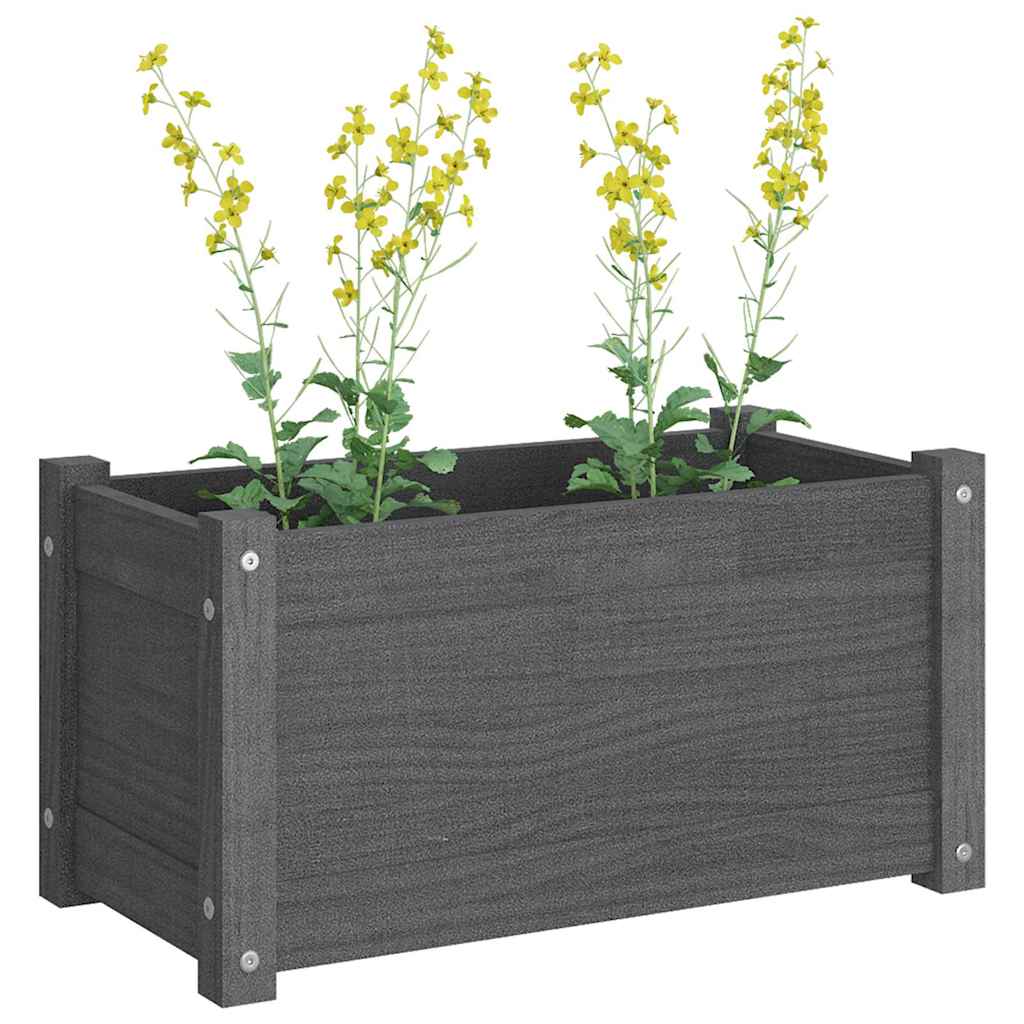 vidaXL Plantenbak 60x31x31 cm massief grenenhout