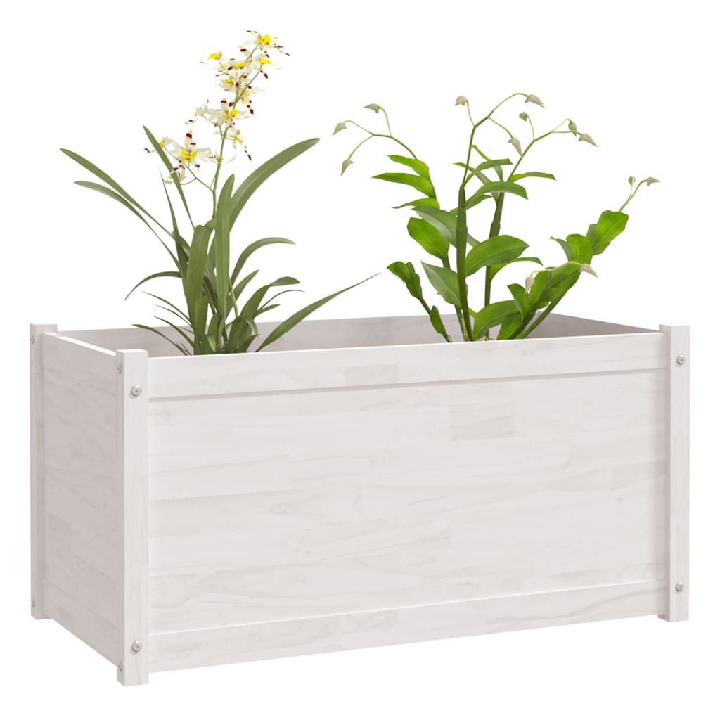 vidaXL Planter 100x50x50 cm solid pine wood