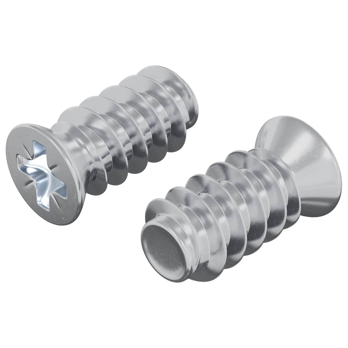 vidaXL Schroef 2 pcs Zilver M6 x 12 mm IJzer