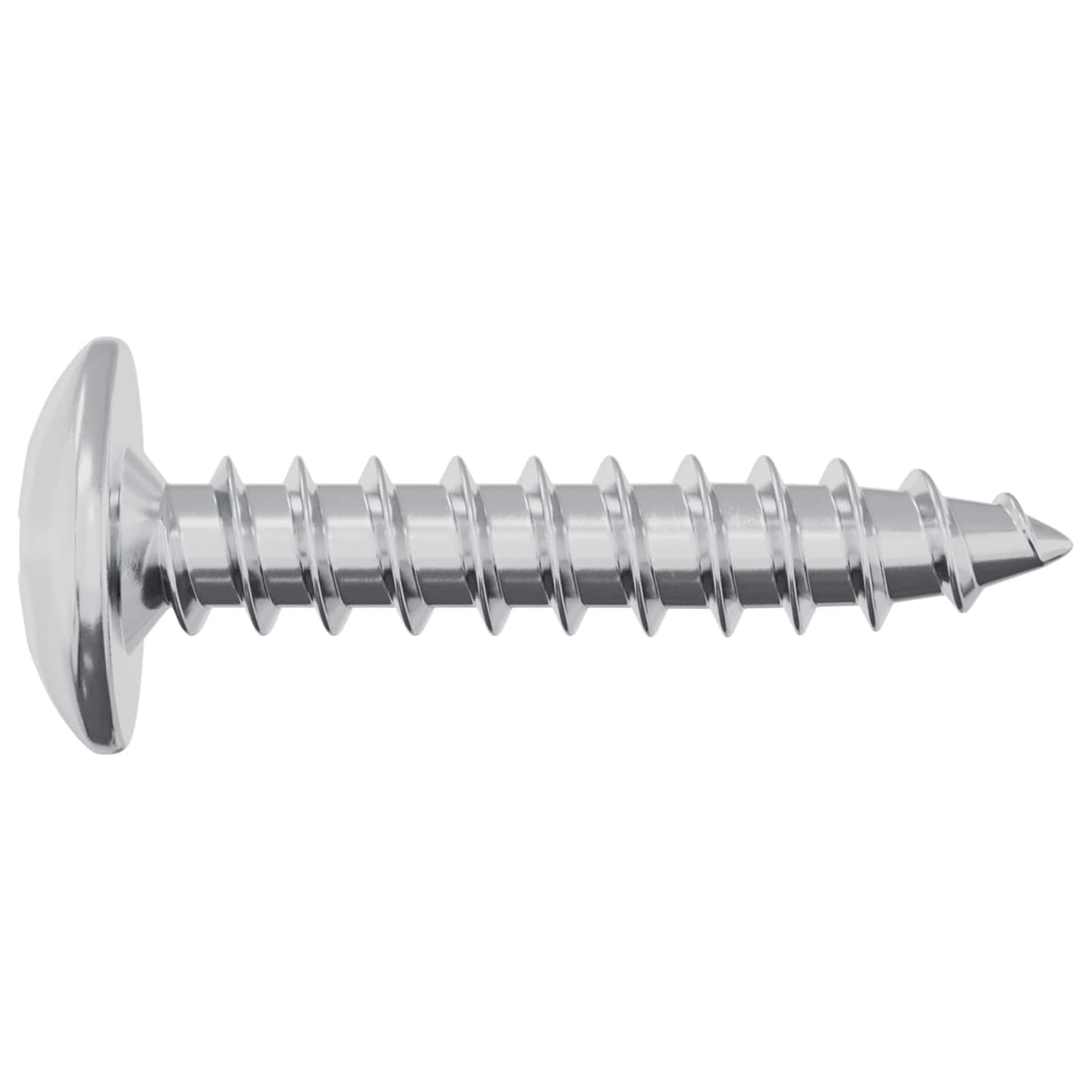 vidaXL Zelftappende Nagel 2 pcs Verzinkt 4 x 20 mm Staal
