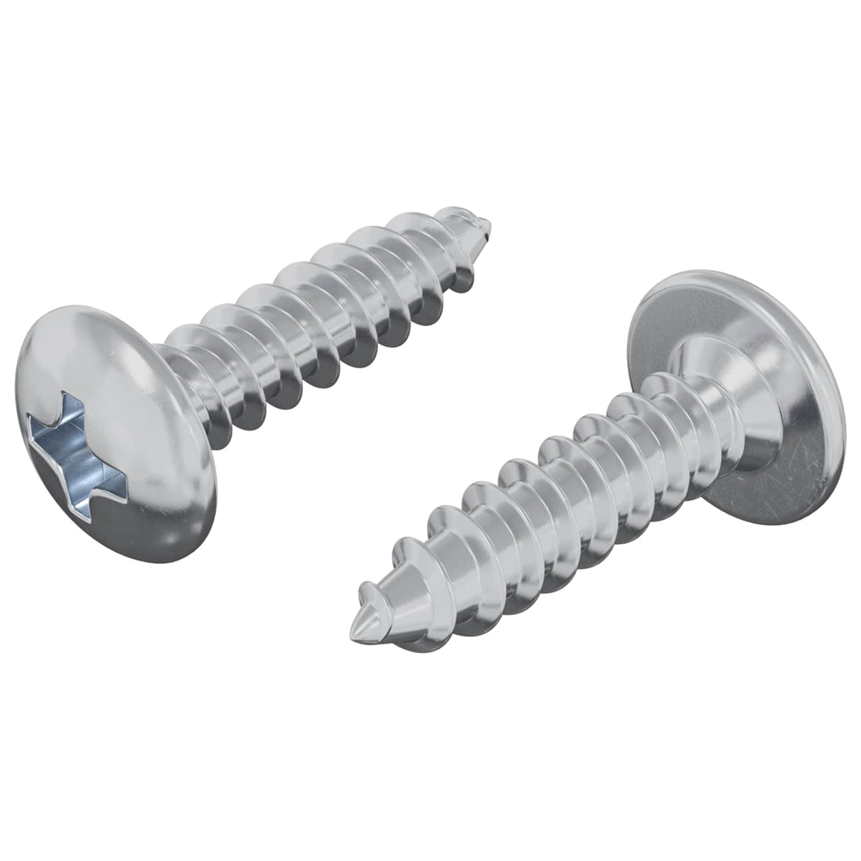 vidaXL Schroef 2 pcs Zilver M4 x 16 mm Staal