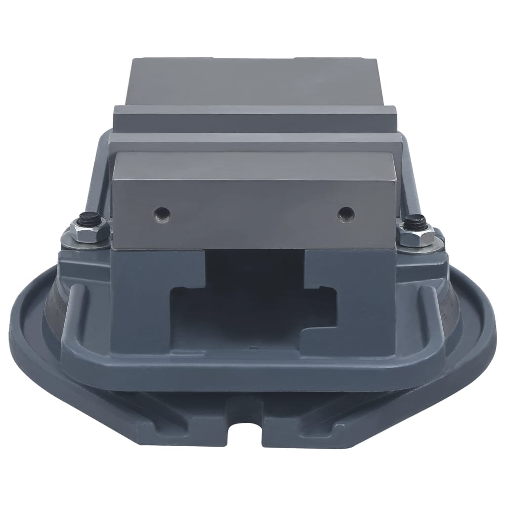 vidaXL Swivel Bench Vice 160 mm Cast Iron
