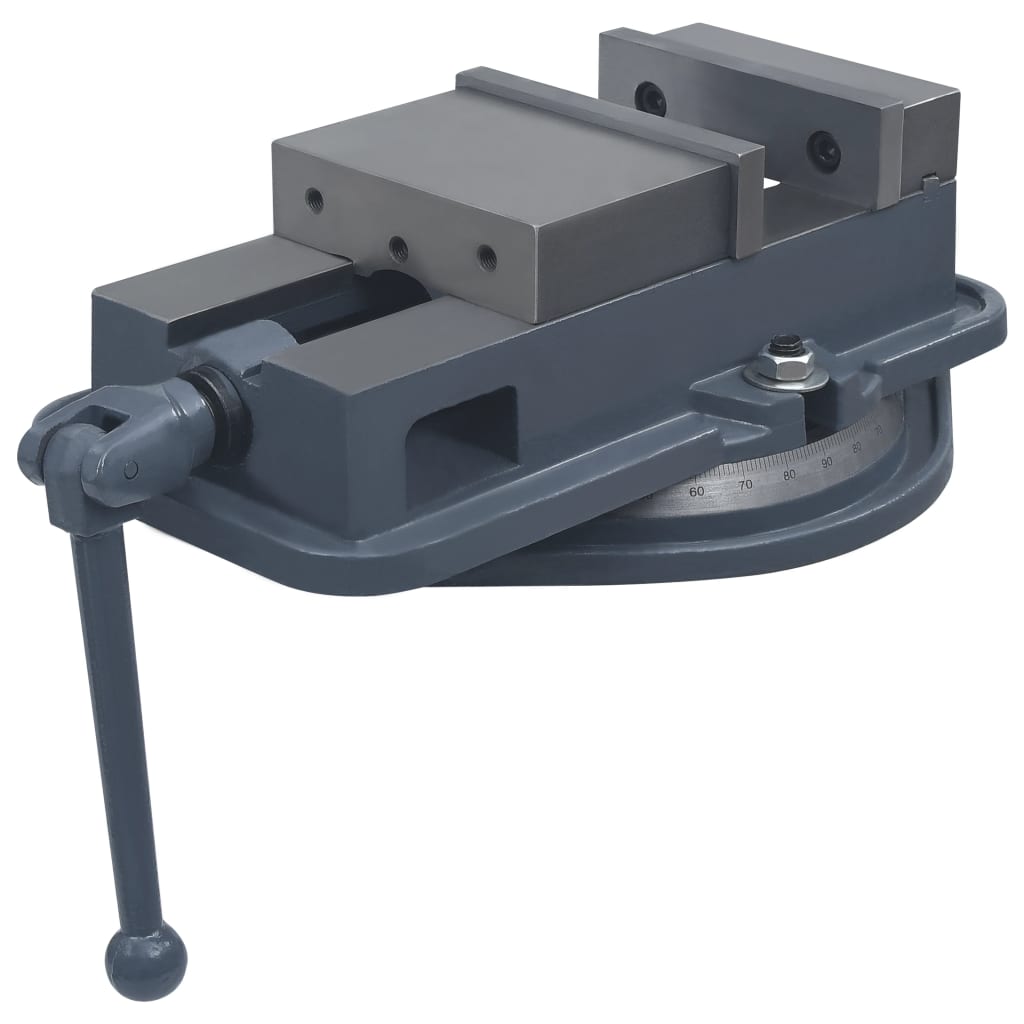 vidaXL Swivel Bench Vice 160 mm Cast Iron