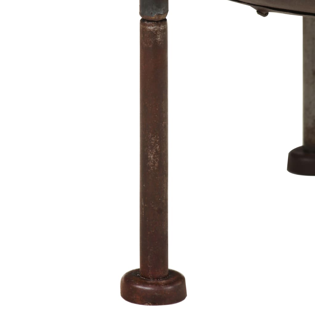 vidaXL Vuurplaats Ø40 cm ijzer