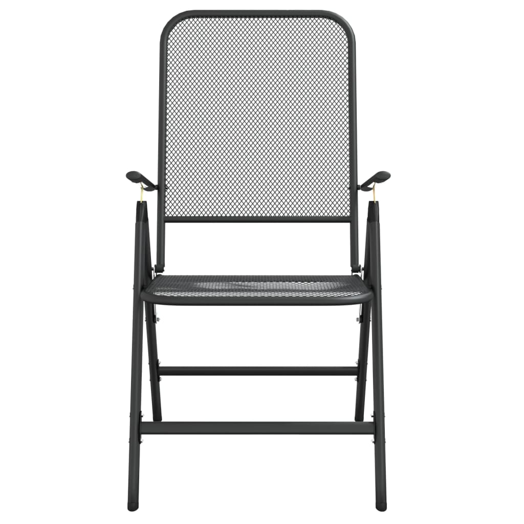 vidaXL Tuinstoelen inklapbaar 2 st metaalgaas antracietkleurig