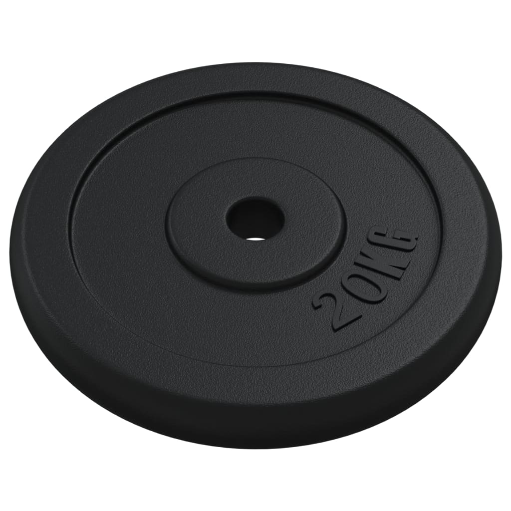 vidaXL Halterschijf 40 kg gietijzer
