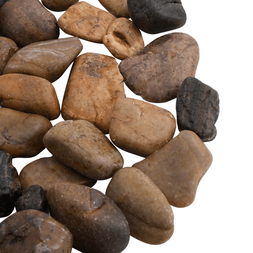 vidaXL Polished Pebbles 2-5 cm 10 kg Multicolor