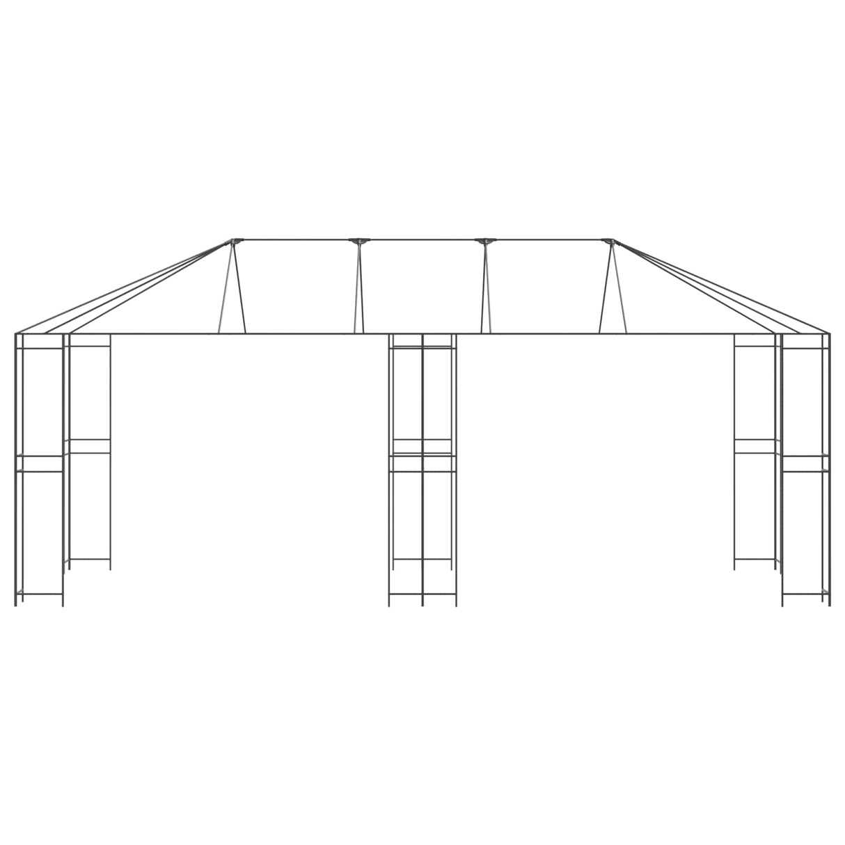 vidaXL Gazebo Frame 6 x 3 m Zwart Staal