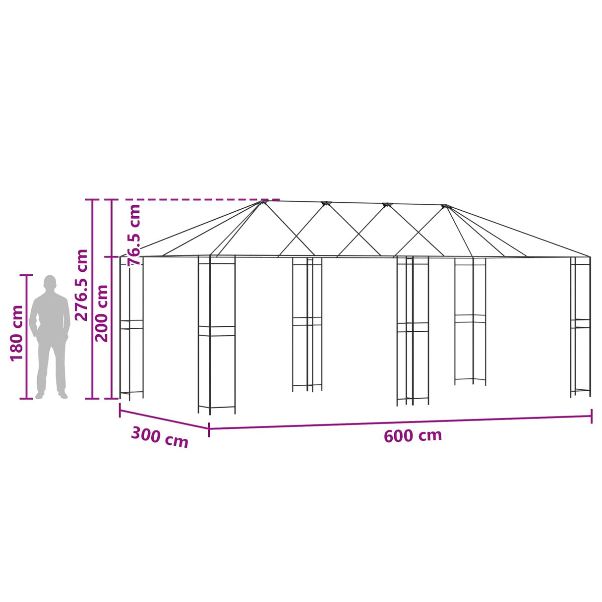 vidaXL Gazebo Frame 6 x 3 m Zwart Staal