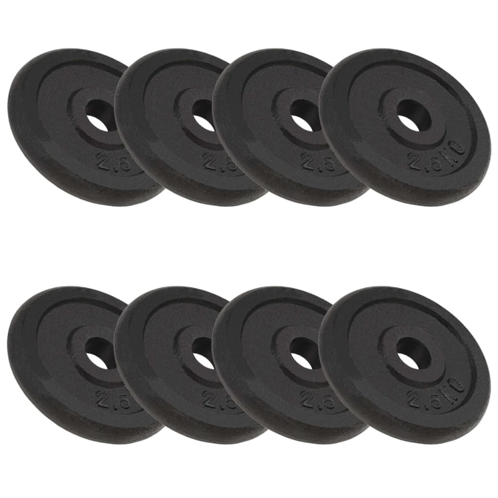 vidaXL Halterschijf 40 kg gietijzer