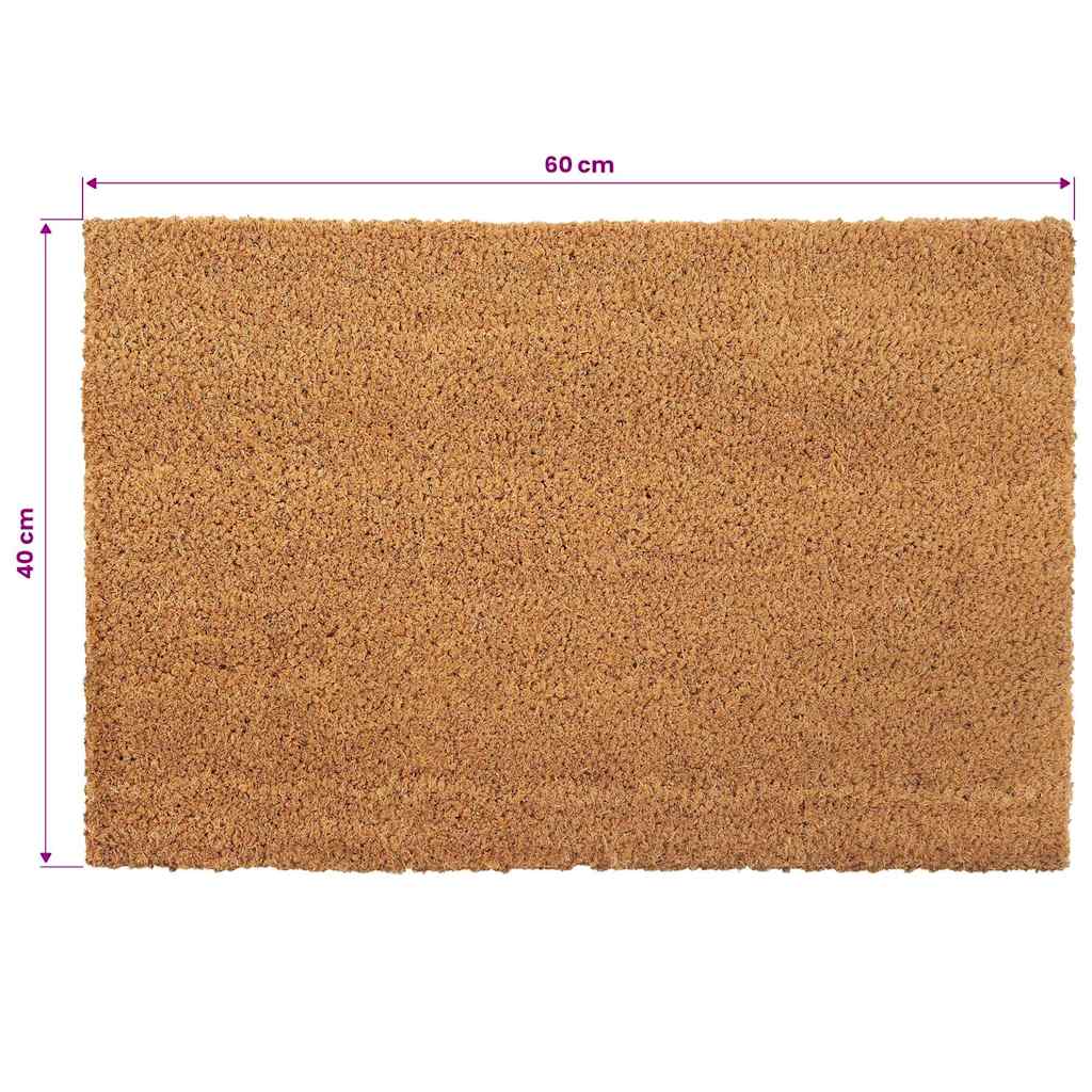 vidaXL Deurmatten 24 mm 40x60 cm kokosvezel natuurlijk 2 st