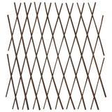 vidaXL Tuinlatwerk 5 st 180x90 cm wilg