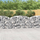vidaXL Schanskorf gewelfd 100x30x40/60 cm gegalvaniseerd ijzer