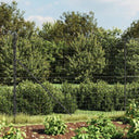 vidaXL Draadgaashek 0,8x25 m gegalvaniseerd staal groen