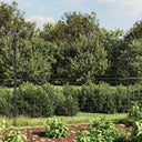 vidaXL Draadgaashek met flens 0,8x10 m groen