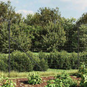 vidaXL Draadgaashek met flens 0,8x10 m groen