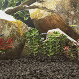 vidaXL Lava Rocks 10 kg 5-8 mm red